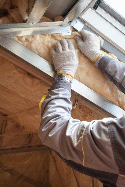 Best Professional Insulation Contractor  in Kingman, KS